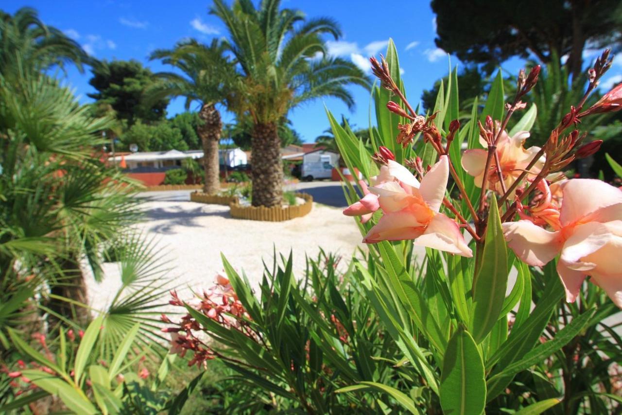 Del Mar 10, Mobil Petit Paradis, 6 Personnes, Bord De Mer, Del Mar Village Argeles-sur-Mer
